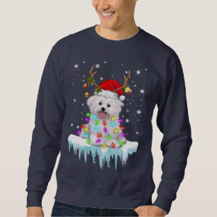 Dog Lover  Maltese Christmas Fairy Light In Winter Sweatshirt