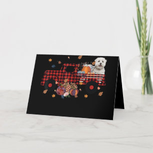 Dog Lover   Maltese Pumpkin Truck Thanksgiving Holiday Card