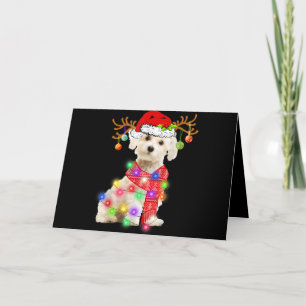 Dog Lover   Maltese Santa Hat Xmas Fairy Light Holiday Card