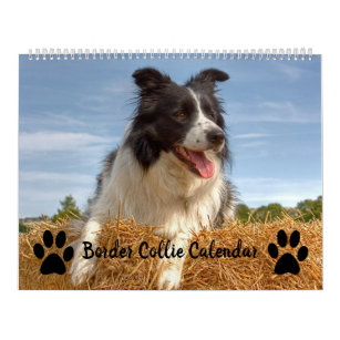Dog Lover Mixed Border Collie Calendar