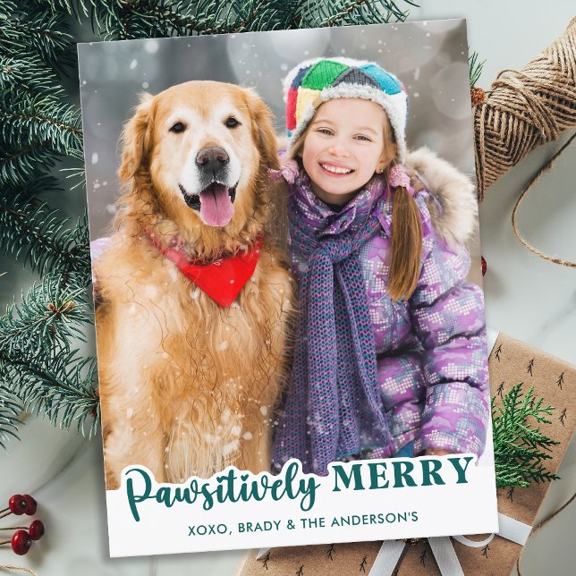 Dog Lover Modern Pet Photo Pawsitively Merry Holiday Postcard (Creator Uploaded)