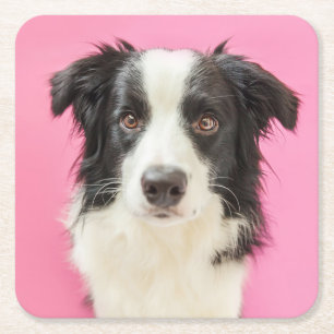 Dog Lover Pink Puppy Doggy Cute Border Collie Square Paper Coaster