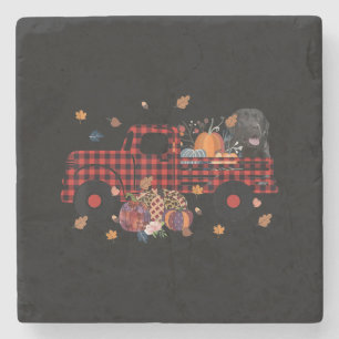 Dog Lover Truck Plaid Carrying Labrador Autumn Stone Coaster