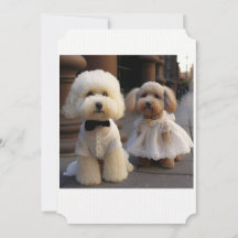 Dog Lover Wedding Card