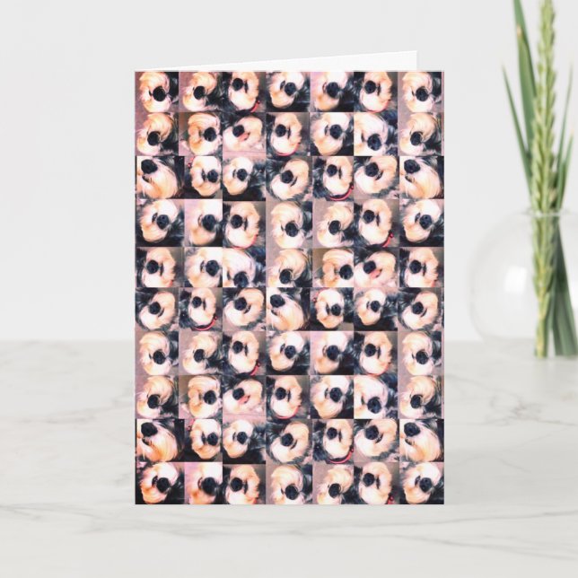 Dog Lover's Anniversary Card (Front)