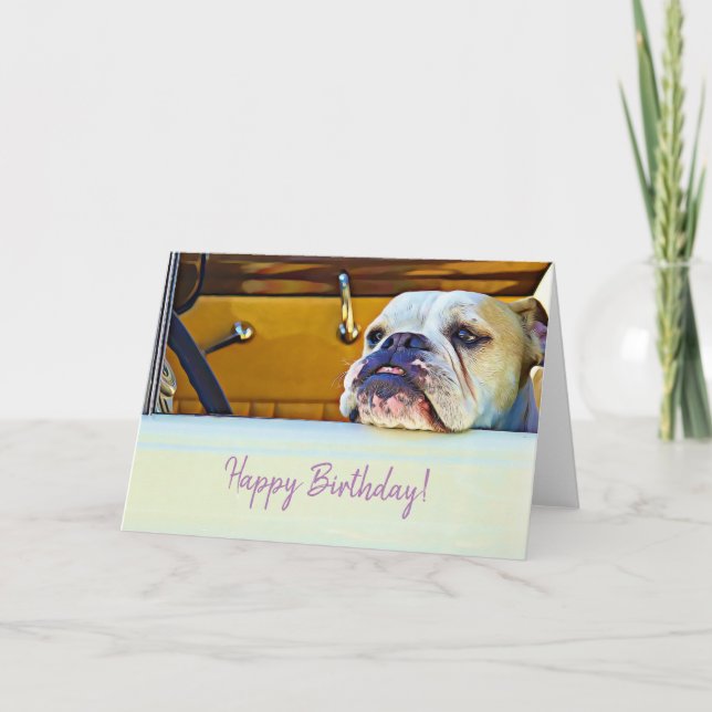 Dog Lovers Birthday Cards (Front)