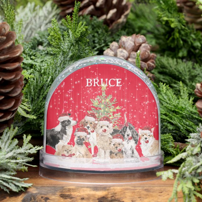 Dog Lovers Dacshund Fun Red Merry Christmas  Snowglobe (Winter)