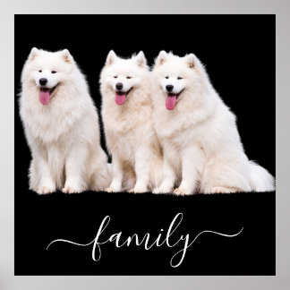 Dog lovers family photo  poster