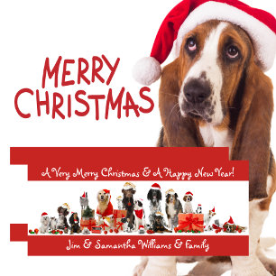Dog Lovers - Merry Christmas Card