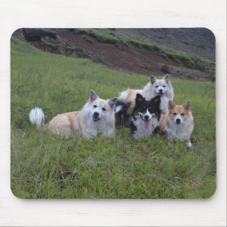 Dog lover's mousepad, customise mouse pad