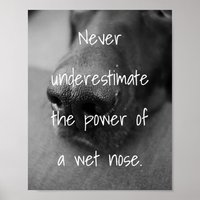 dog lovers quote the power of a wet nose poster (Front)