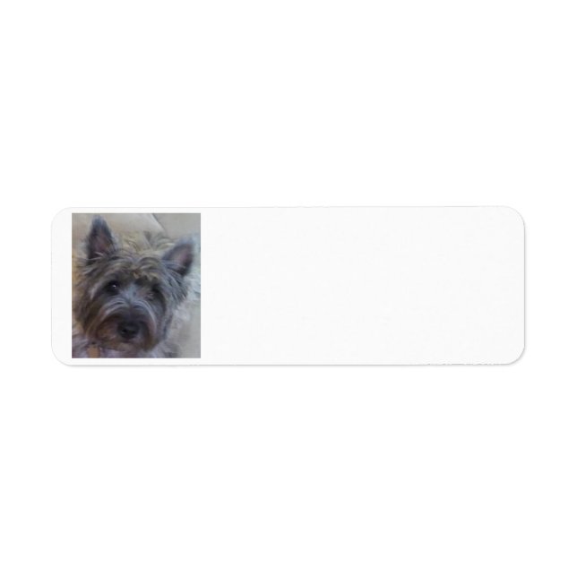 Dog Lover's Return Address Label (Front)
