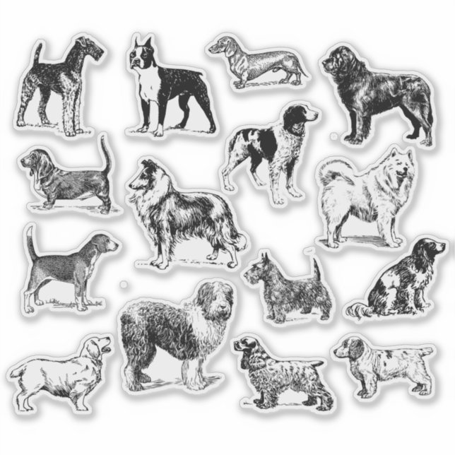 Dog Lover's Vintage Black & White Various Breeds (Front)