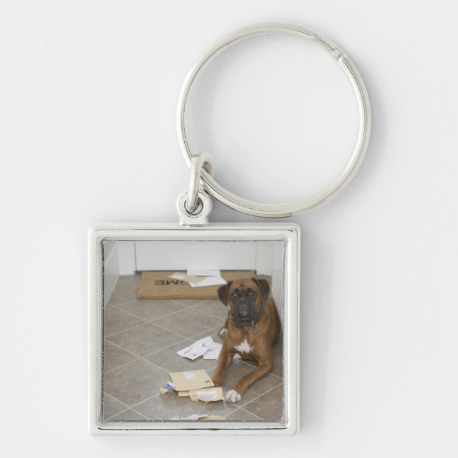 Dog lying by doormat and chewed mail key ring (Front)