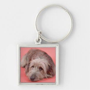 Dog lying down key ring