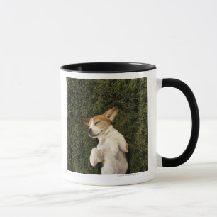 Dog Lying in Grass Sleeping Mug