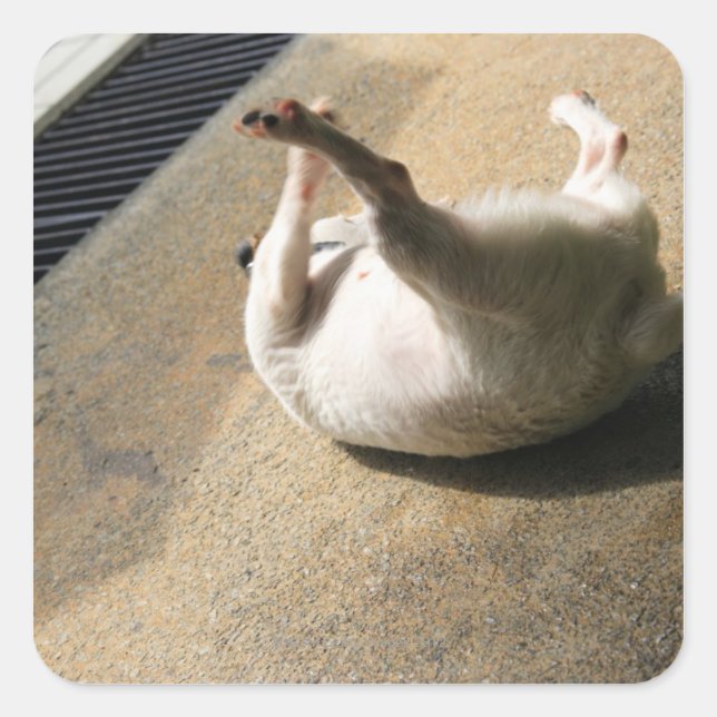 Dog lying on the floor square sticker (Front)