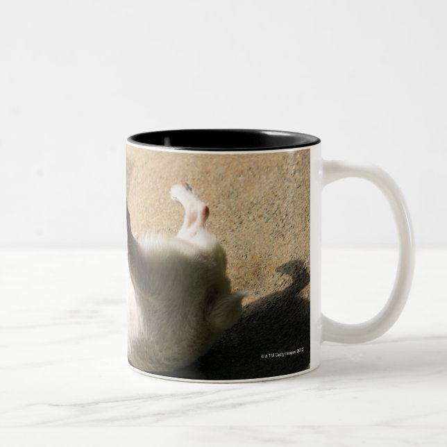Dog lying on the floor Two-Tone coffee mug (Right)