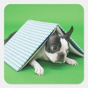 Dog lying under book square sticker