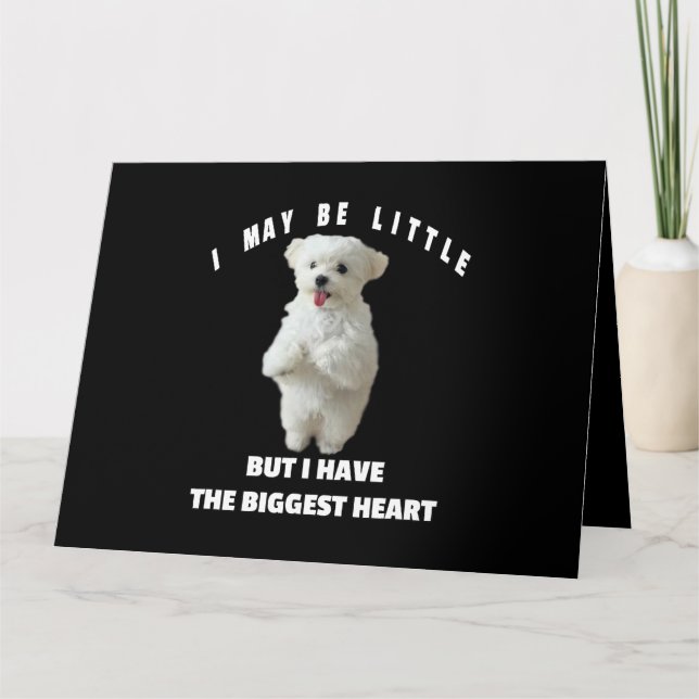 Dog Maltese Little Maltese Dog Design Funny Quote  Card (Front)