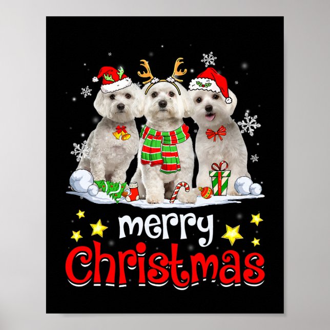 Dog Maltese Merry Christmas Cute Maltese Dog Chris Poster (Front)