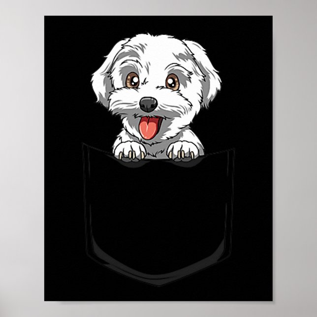 Dog Maltese Pocket Maltese Peeking Out Pocket Malt Poster (Front)