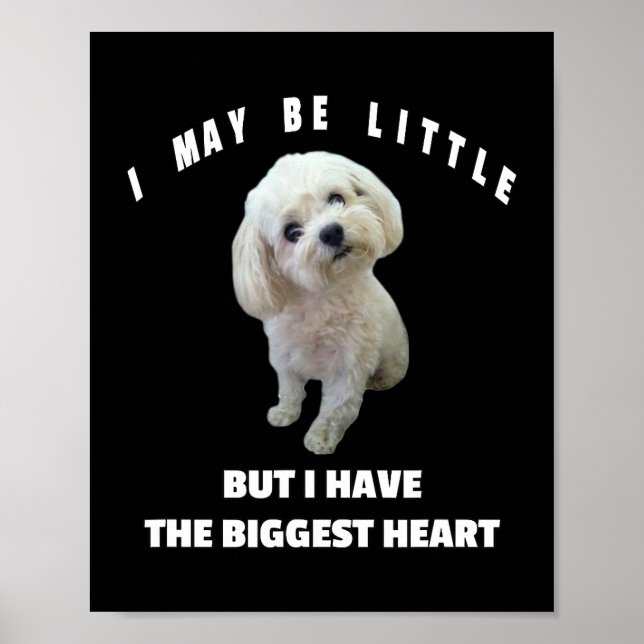 Dog Maltese Small Maltese Dog Design Funny Quote M Poster (Front)