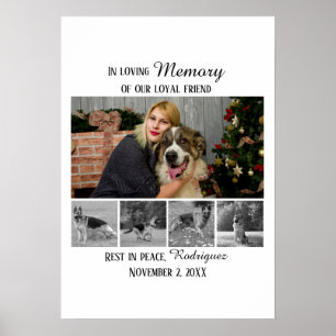 Dog Memorial 5 Photo Collage Pet Tribute Poster