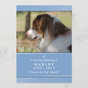 Dog Memorial 5x7 Light Blue Don't Grieve Poem Program