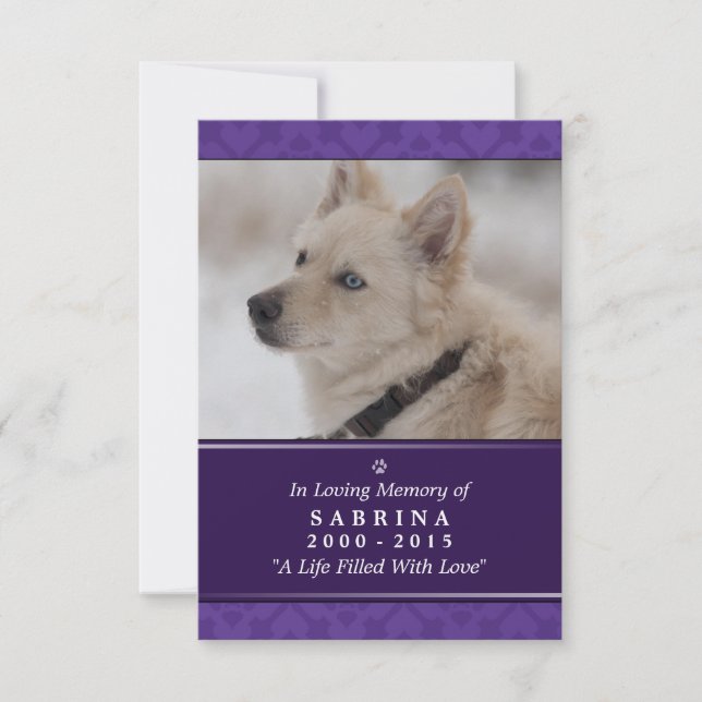Dog Memorial Card 3.5" x 5" - Purple Photo Modern (Front)