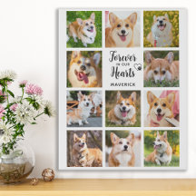 Dog Memorial Forever In Our Hearts Photo Collage  