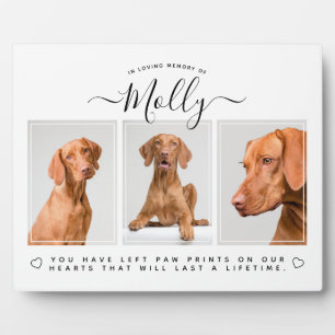Dog Memorial Gift - Pet Loss 3 Photo Collage White Plaque