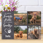 Dog Memorial Keepsake Sympathy Pet Loss