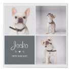 Dog Memorial Pet Loss Keepsake Photo Collage