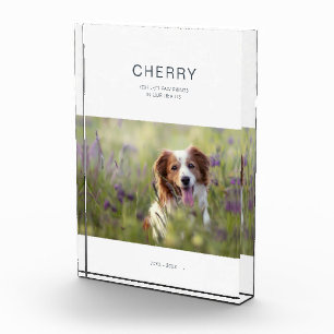 Dog Memorial Pet Loss Photo Block