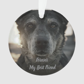 Dog Memorial Photo Ceramic Ornament