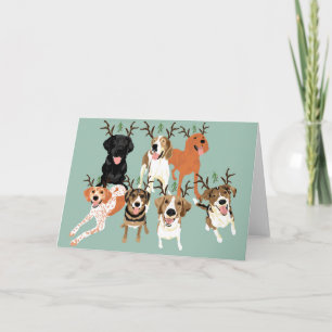 Dog Mistletoe Holiday Card