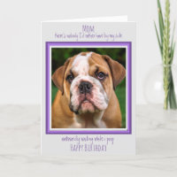 Dog Mom Funny Happy Birthday Cute Dog Poop