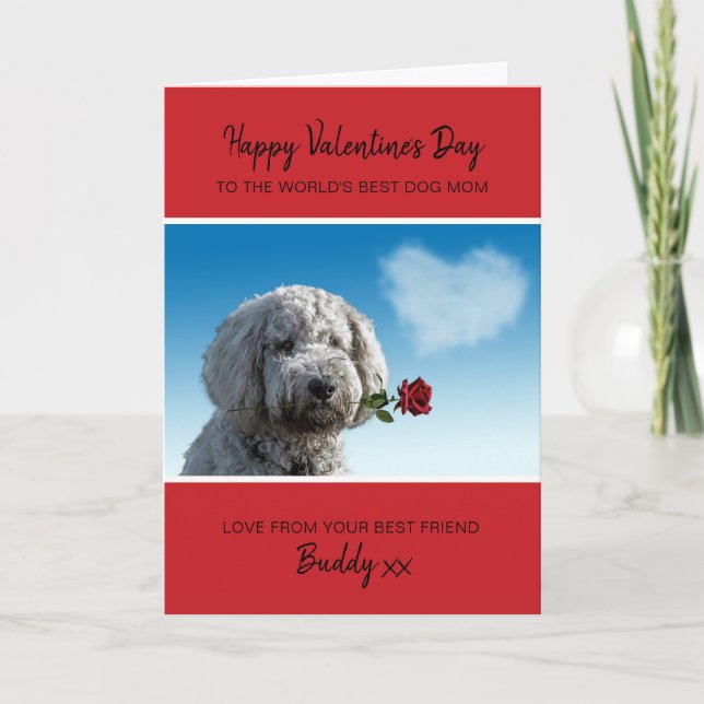 Dog Mom Valentine From Dog With Red Rose Holiday Card (Front)