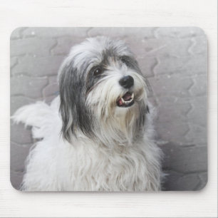 Dog Mouse Pad