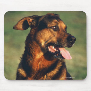 dog mouse pad