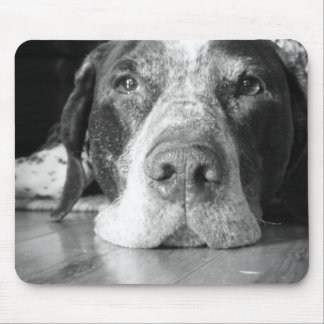Dog Mouse Pad