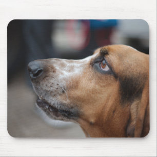 Dog mousepad
