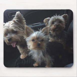 Dog Mousepad