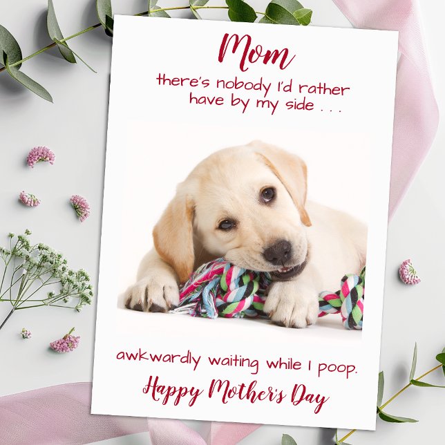 Dog Mum Funny Pet Photo Personalised Mothers Day Holiday Card (Creator Uploaded)