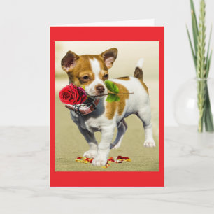 Dog Mum Mother's Day Greeting Card
