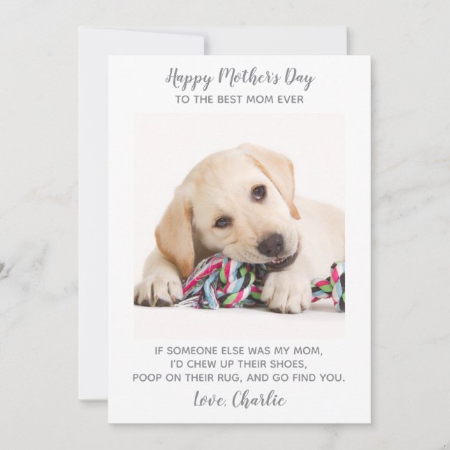 Dog Mum Personalised Pet Photo Funny Mothers Day Holiday Card (Front)