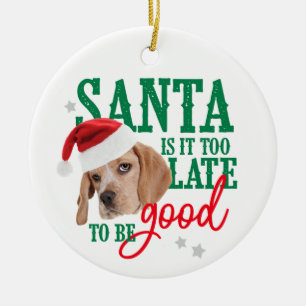 Dog Naughty or Nice Ornament