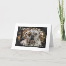 dog Neutering get well card