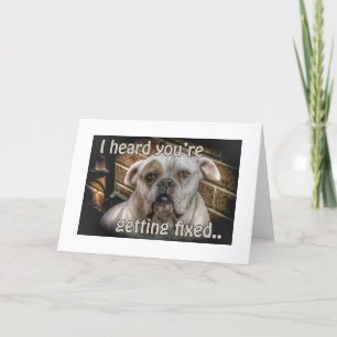 dog Neutering get well card